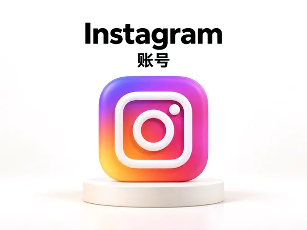 INS账号 已过邮箱或号码验证